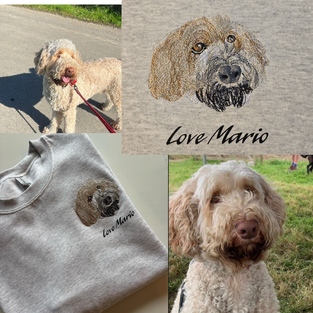 Personalised Pet Jumper