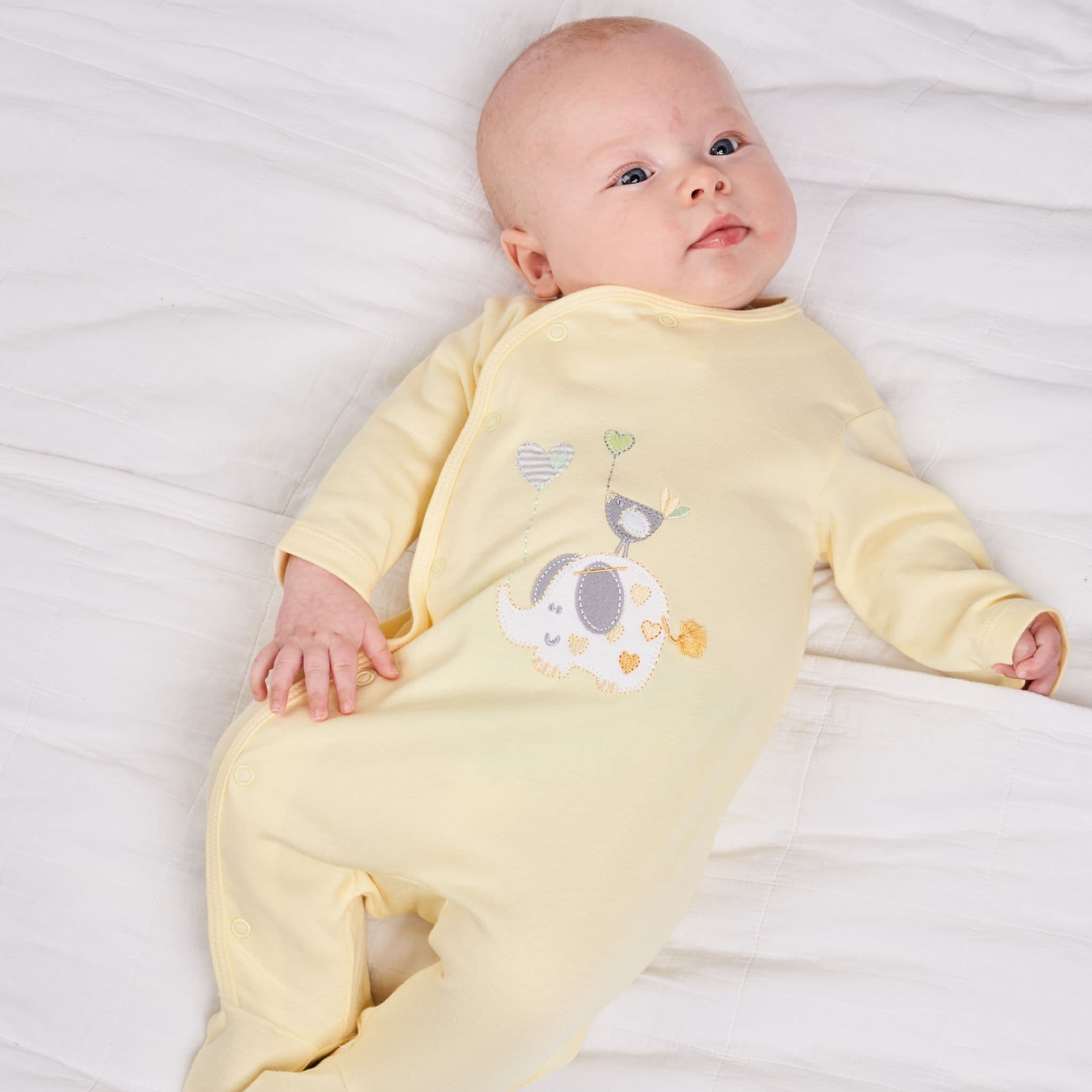 Elephant & Bird with Balloon Cotton Sleepsuit