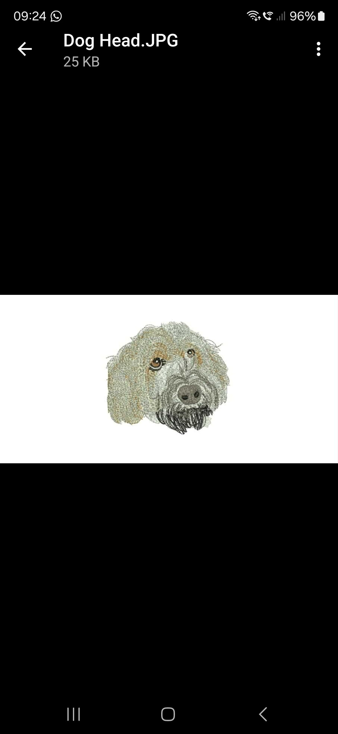 Personalised pet products